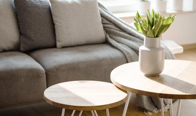 sunlight pours through a large window in furnished living room