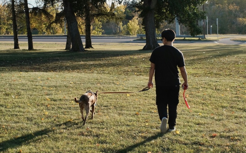 a man walking his dog in a park