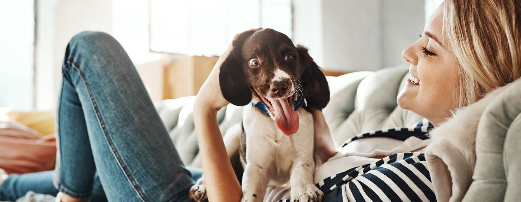 woman lies on a couch and pets her dog